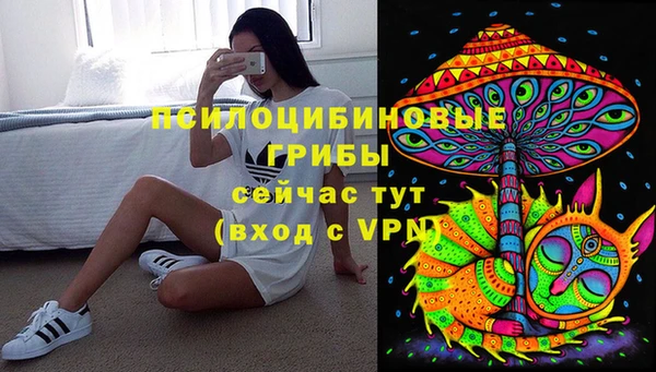 MDMA Premium VHQ Медвежьегорск