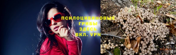 спайс Мегион