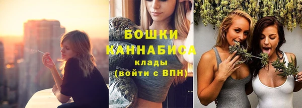 спайс Мегион