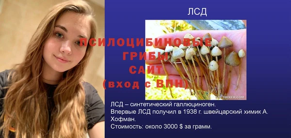 спайс Мегион