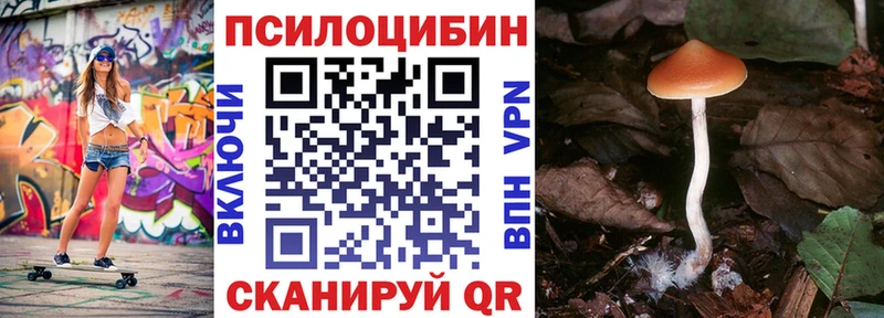Купить  Мамадыш  Псилоцибиновые грибы GOLDEN TEACHER 
